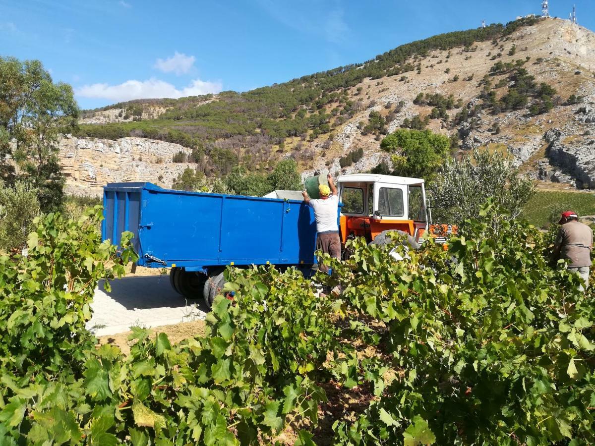 Villa Bonifato Vista Sulle Campagne E Sul Mare Siciliano Cozy House Italy Alcamo Ngoại thất bức ảnh