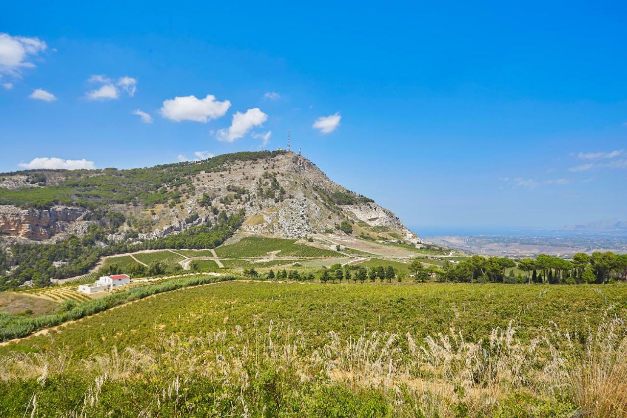 Villa Bonifato Vista Sulle Campagne E Sul Mare Siciliano Cozy House Italy Alcamo Ngoại thất bức ảnh
